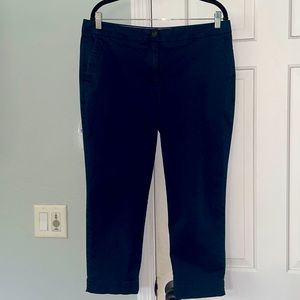 J. Jill Live-In Chino Navy size 12 Ankle